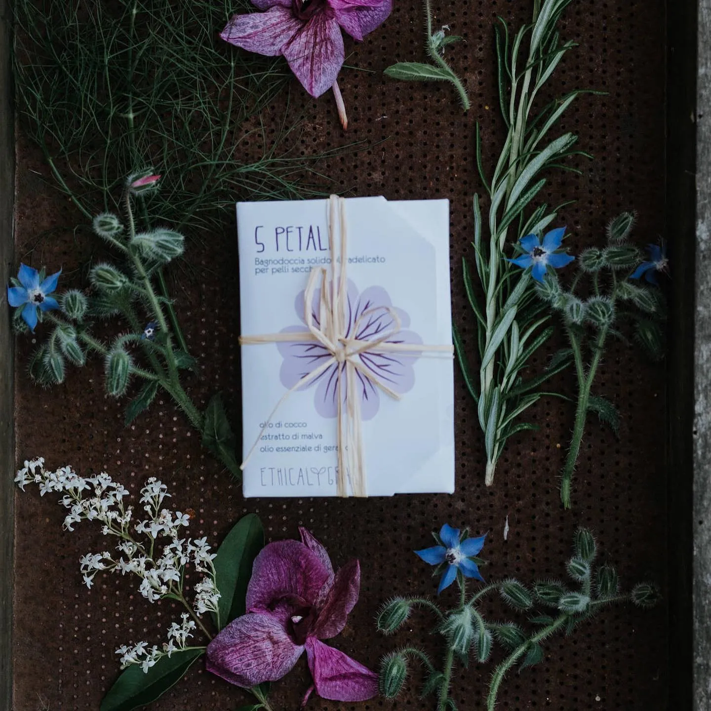 Ethical Grace, foto 7